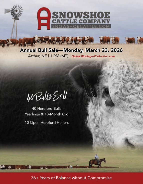 Annual Bull Sale
