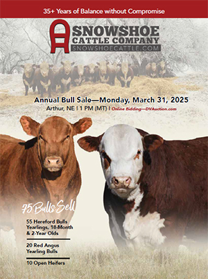 Annual Bull Sale